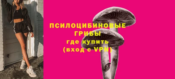 эйфоретик Сатка