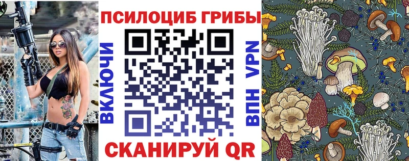 Псилоцибиновые грибы прущие грибы  купить наркотик  Донецк 