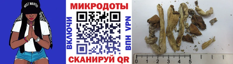 Псилоцибиновые грибы Cubensis Донецк