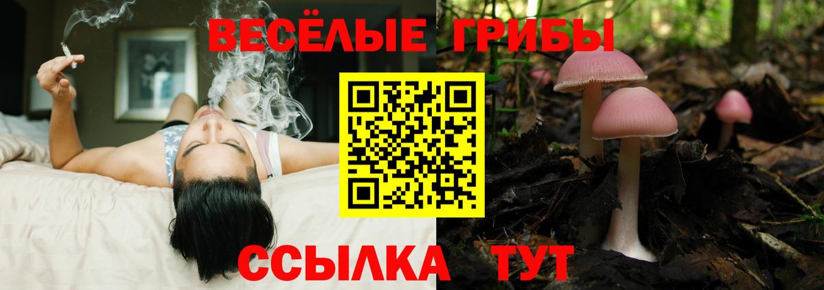 Галлюциногенные грибы MAGIC MUSHROOMS  Вход с VPN  где купить наркотик  Донецк 